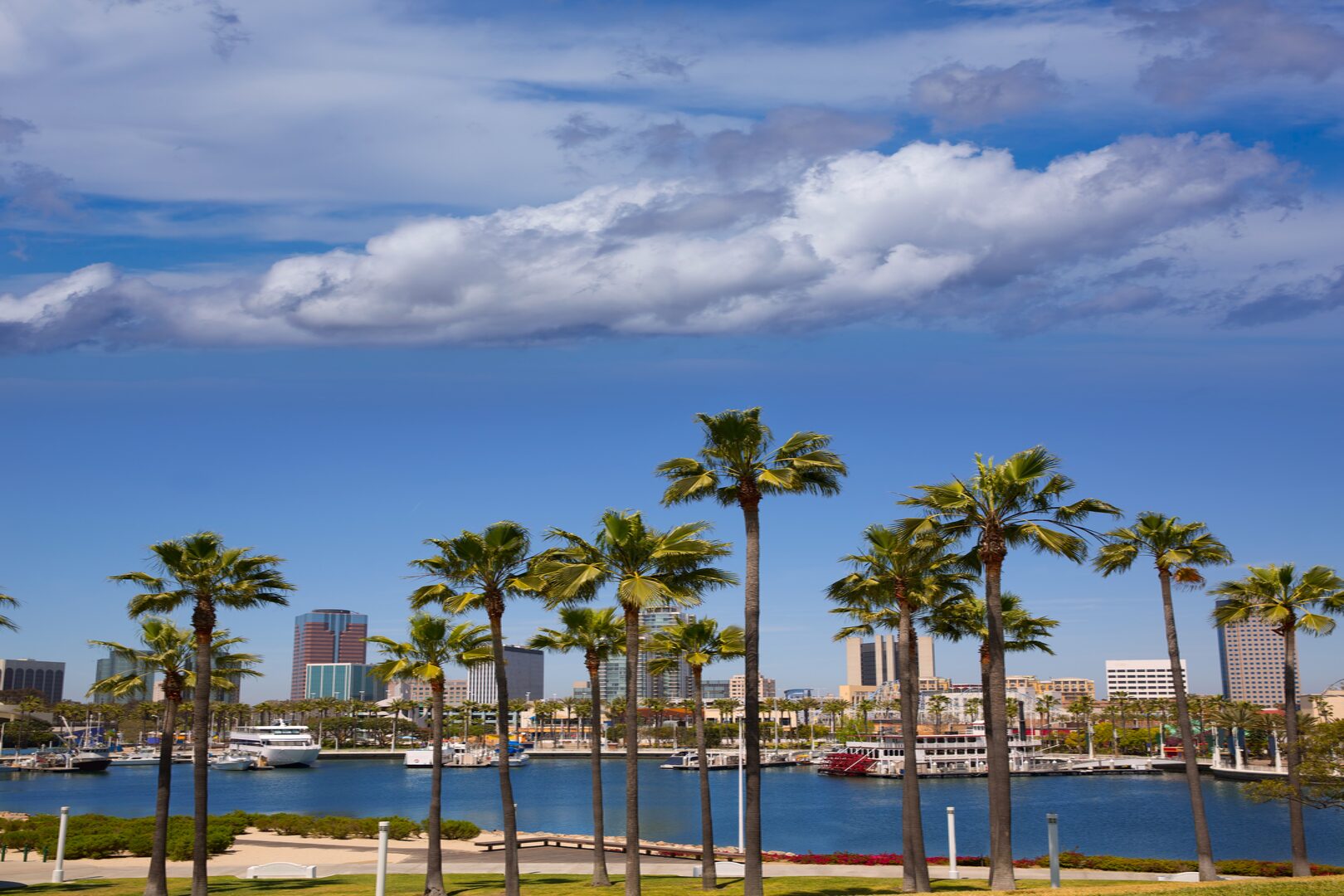 A view of the water and palm trees in front of some buildings.